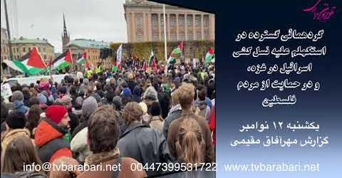 گردهمائی گسترده در استکهلم برای توقف فوری نسل کشی اسرائیل در غزه، یکشنبه ۱۲ نوامبر