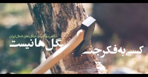 مستند «کسی به فکر جنگل ها نیست» کاری از مهدی خلیلی و یاسر طالبی